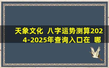 天象文化  八字运势测算2024-2025年查询入口在  哪